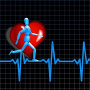 trainen in hartslagzones