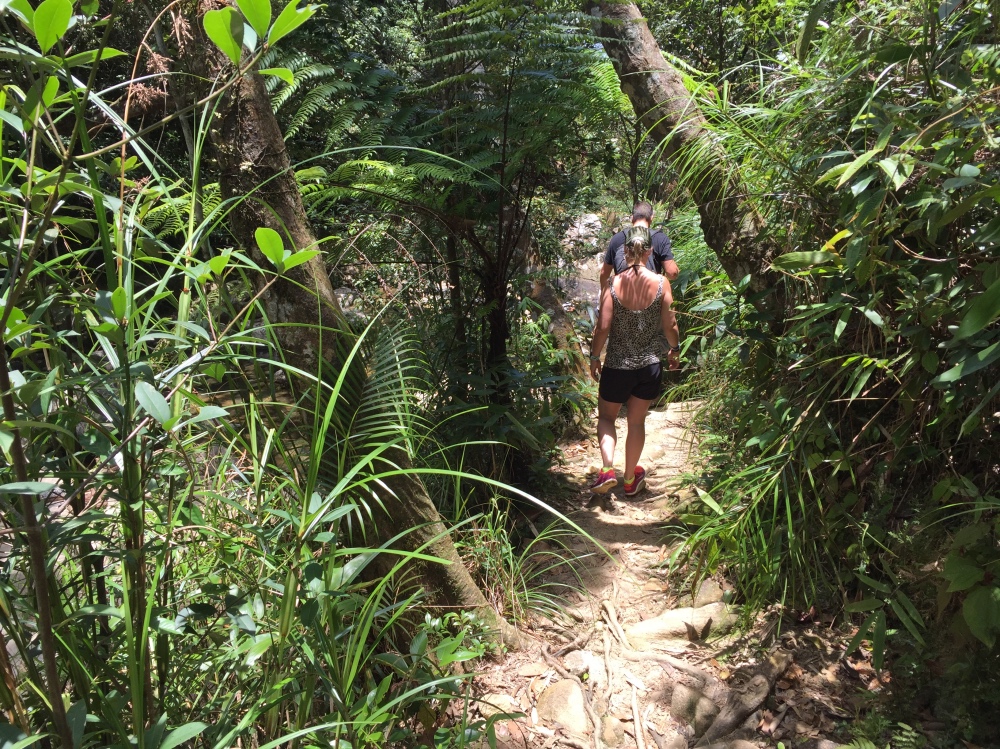 trail door de jungle